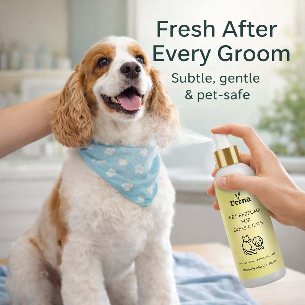 Veena Cherry Blossom Pet Perfume Deodorizer Spray for Dogs & Cats – 100ml (3.38 fl.oz.) | Elegant Soft Floral Grooming Cologne