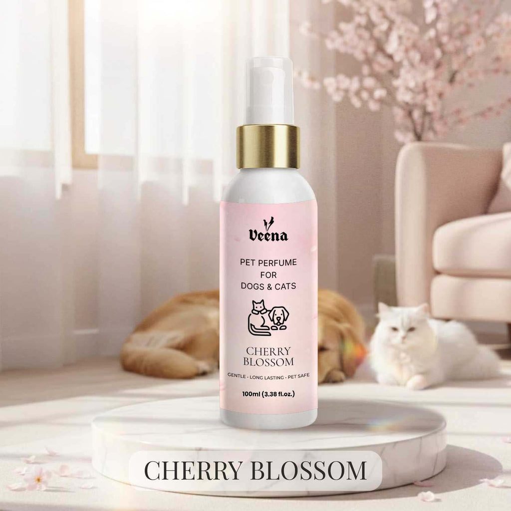 Veena Cherry Blossom Pet Perfume for Dogs and Cats 100ml spray bottle resting on a white marble platform with blooming pink cherry blossom trees and a white cat in the background.